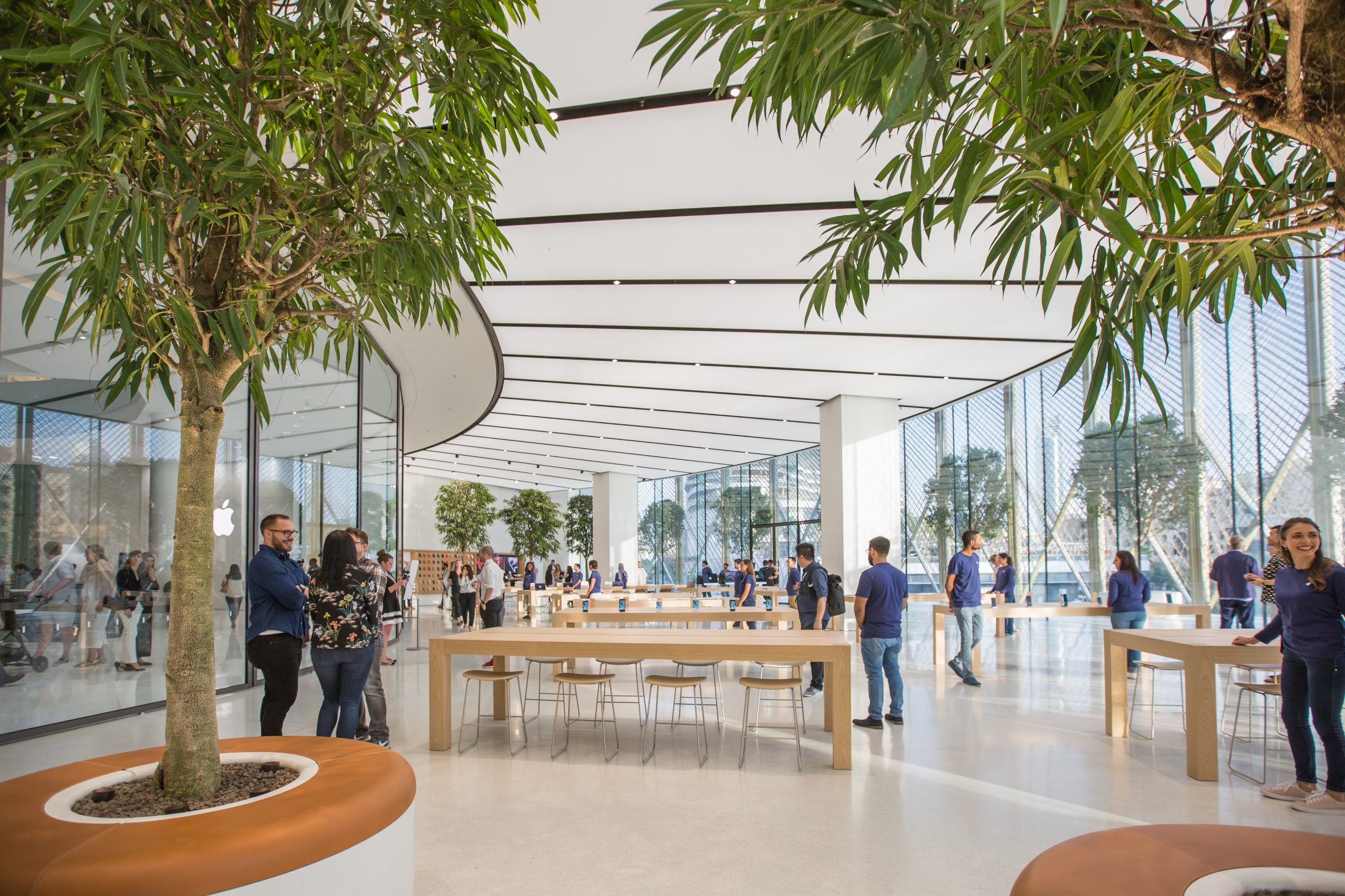 In Pictures New Apple Store In Dubai Features Kinetic wings That 