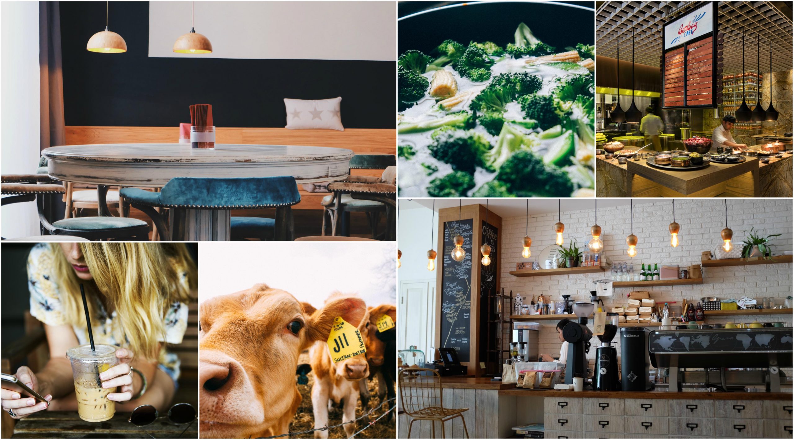 8 Trends Defining Hotel F&B - Commercial Interior Design